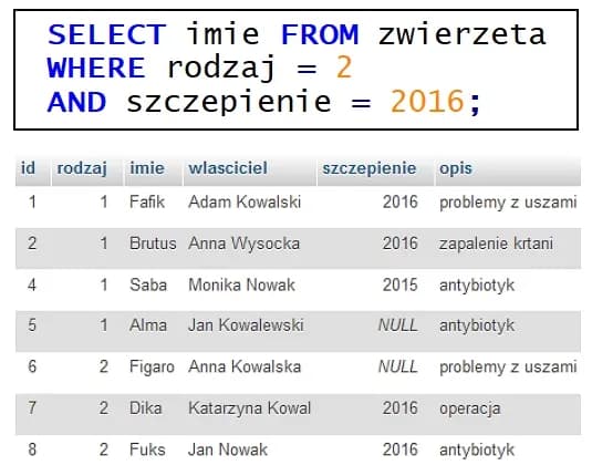 Zdjęcie do pytania #20
