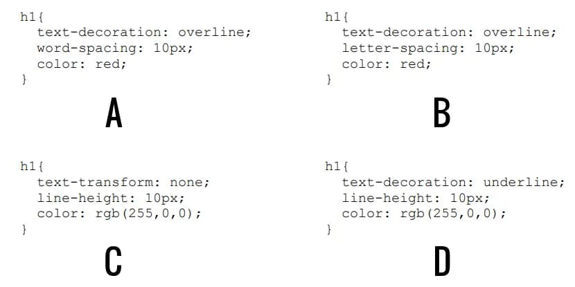 Zdjęcie do pytania #10